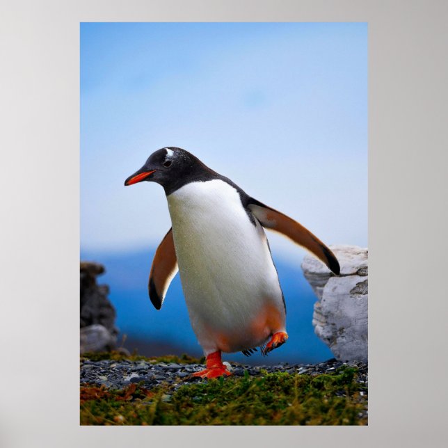 Poster Ajouter Votre Propre Modèle photo Image Cadeaux Pe (Devant)