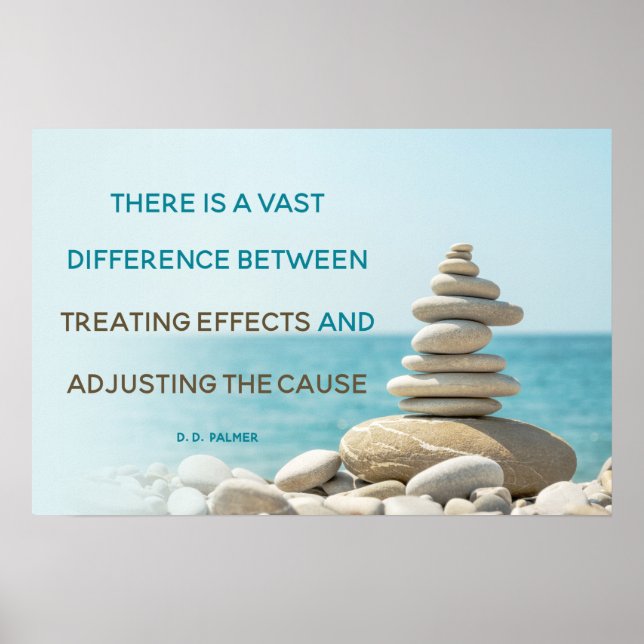 Poster Ajuster Le Devis De Cause Chiropratique (Devant)