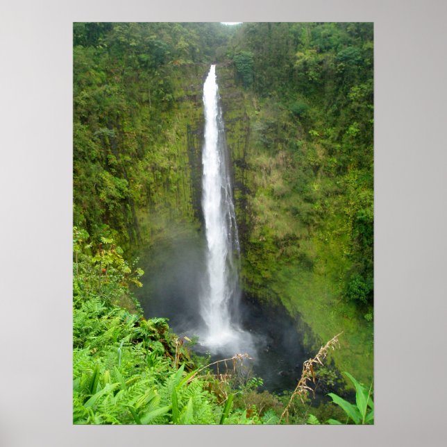 Poster Akaka Falls, Hawaii (Devant)
