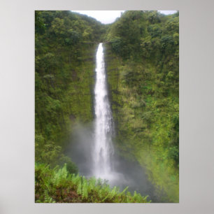 Poster Akaka tombe Hilo, Hawaï