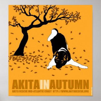 Poster Akita en automne (12" x 13")