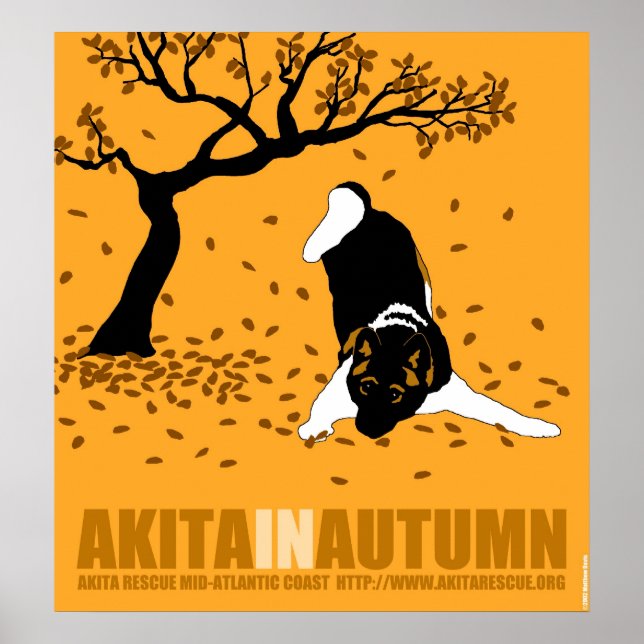 Poster Akita En Automne (30" x 32,5") (Devant)