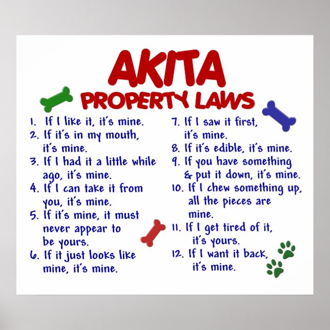 POSTER AKITA PL2 (Devant)