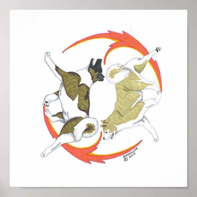 Poster akita yin et yang (Devant)
