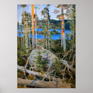 Poster Akseli Gallen-Kallela - Lac dans le désert