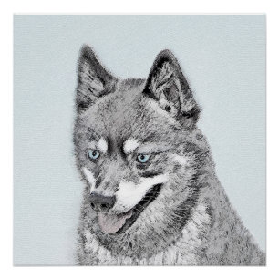 Poster Alaskan Klee Kai Peinture - Cute Original Chien Ar