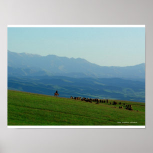Poster Alatau, Kazakhstan