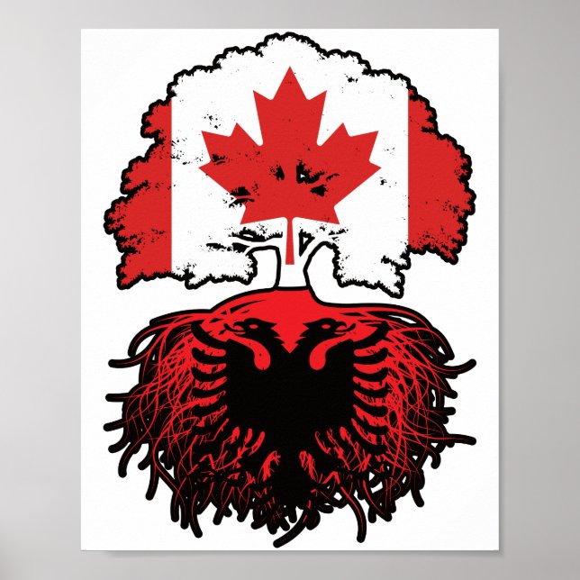 Poster Albania Albanian Canadian Canada Tree Roots Flag (Devant)
