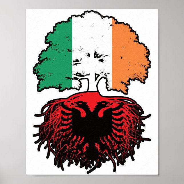 Poster Albanie Drapeau des racines d'arbres en Irlande (Devant)