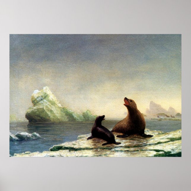 Poster Albert Bierstadt peinture, Phoques (Devant)