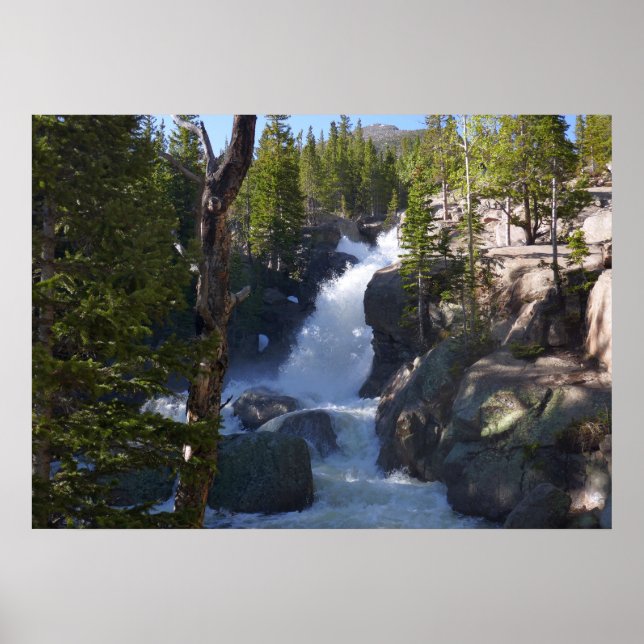 Poster Alberta Falls I (Devant)