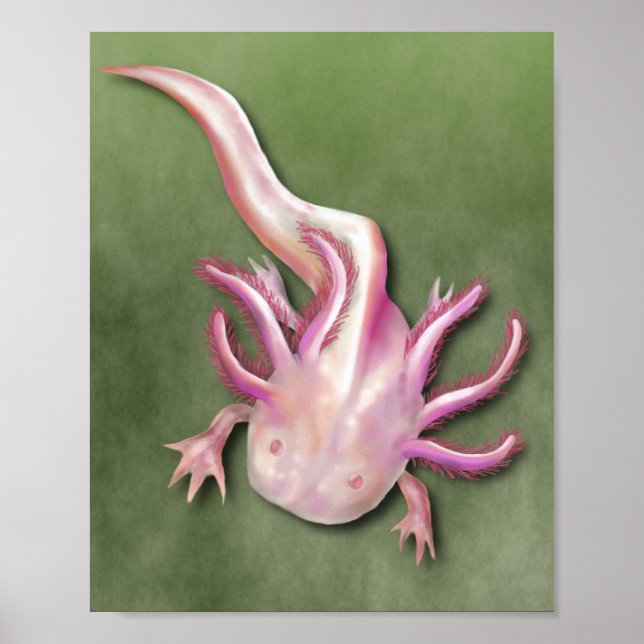 Poster Albino Axolotl "Poisson de promenade" Art (Devant)
