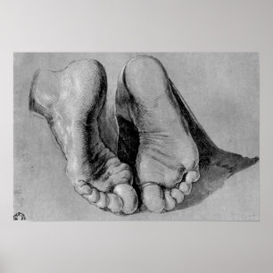 Poster Albrecht Durer