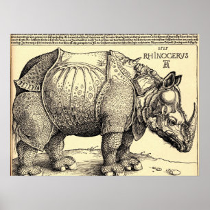 Poster Albrecht Durer Esquisse