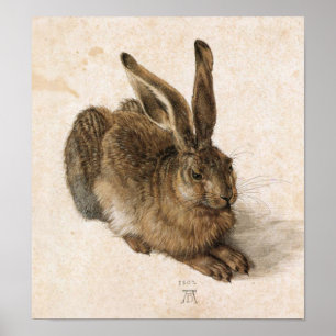Poster Albrecht Dürer - Junger Hase (Young Hare), 1502