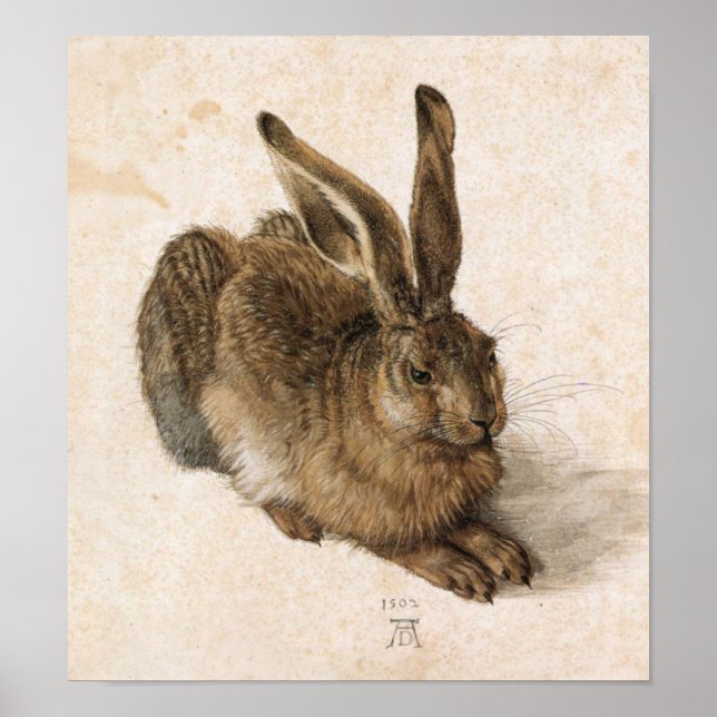 Poster Albrecht Dürer - Junger Hase (Young Hare), 1502 (Devant)