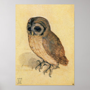 Poster Albrecht Durer La Petite Chouette