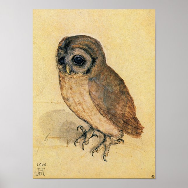 Poster Albrecht Durer La Petite Chouette (Devant)