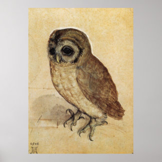 Poster Albrecht Durer La Petite Chouette