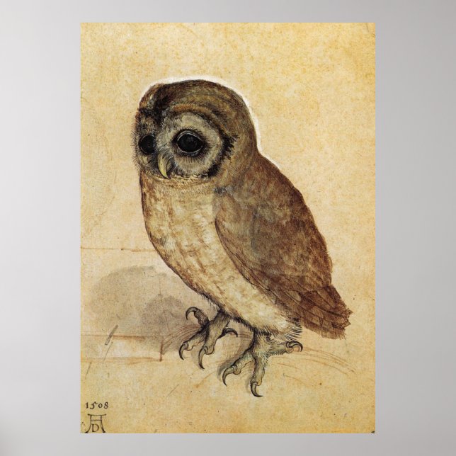 Poster Albrecht Durer La Petite Chouette (Devant)