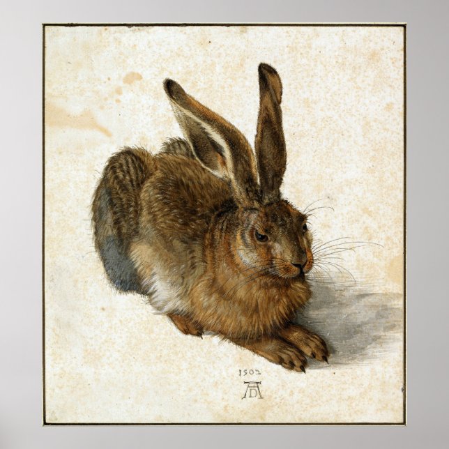 Poster ALBRECHT DÜRER - Lièvre jeune 1502 (Devant)