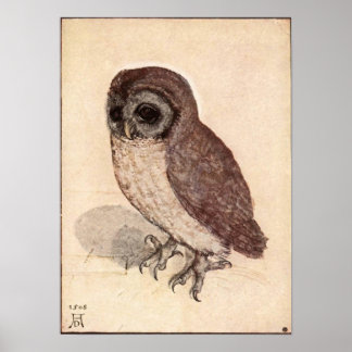 Poster Albrecht Durer Little Owl