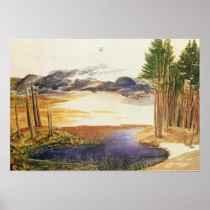 Poster Albrecht Durer Pond dans le bois