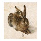 Albrecht Durer Young Hare
