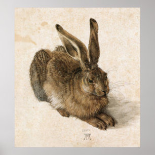 Poster Albrecht Durer Young Hare