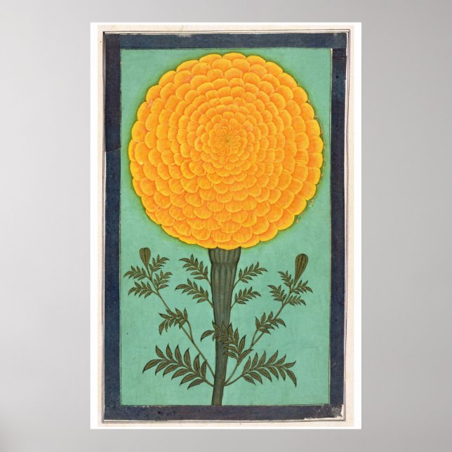Poster Album de petite taille | A Marigold (Devant)