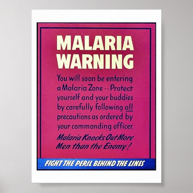 Poster Alerte au paludisme (Devant)