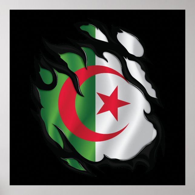 Poster Algérie - Drapeau déchiré (Devant)