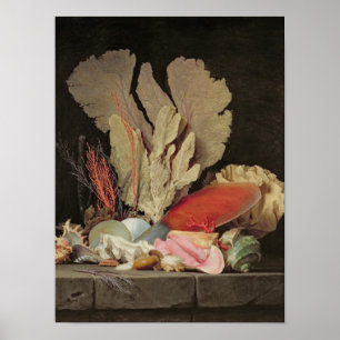 Poster Algue, Lithophytes et coquillages