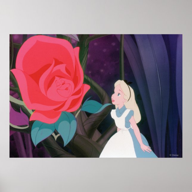 Poster Alice au pays des merveilles Film de fleurs de jar (Devant)