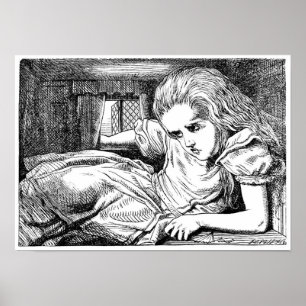 Poster Alice dans la Chambre du lapin blanc