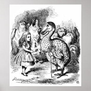Poster Alice et le Dodo