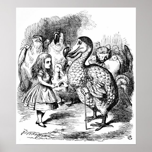 Poster Alice et le Dodo (Devant)