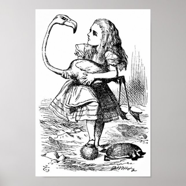Poster Alice et le Flamant rose (Devant)