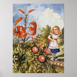 Poster Alice pleine couleur miroir magique