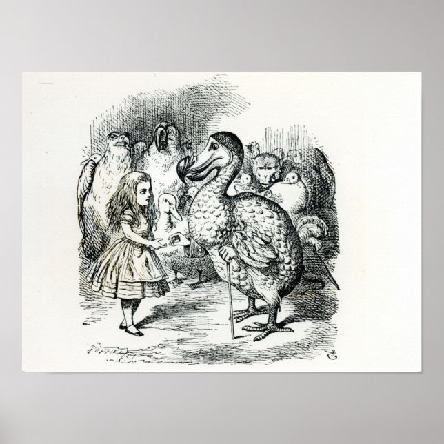 Poster Alice rencontre le Dodo (Devant)