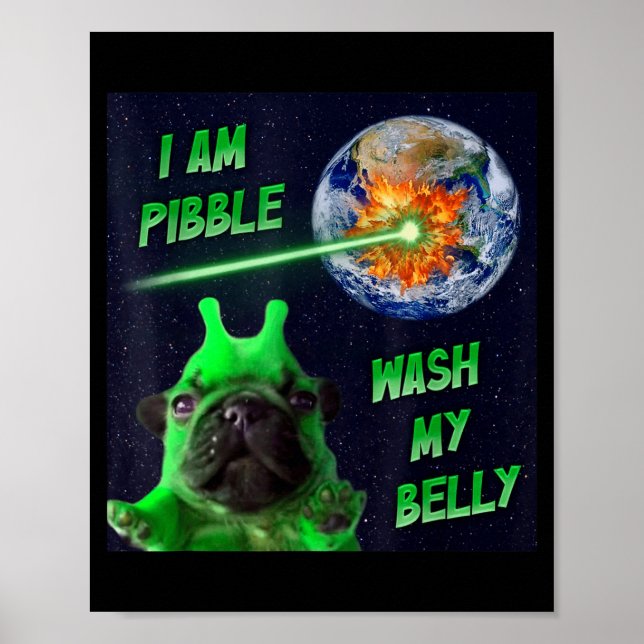 Poster Alien Bble Funny Brainrot Dog Meme Space I Am Bble (Devant)