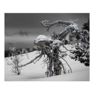 Poster Alien en bois dans le cadre hivernal