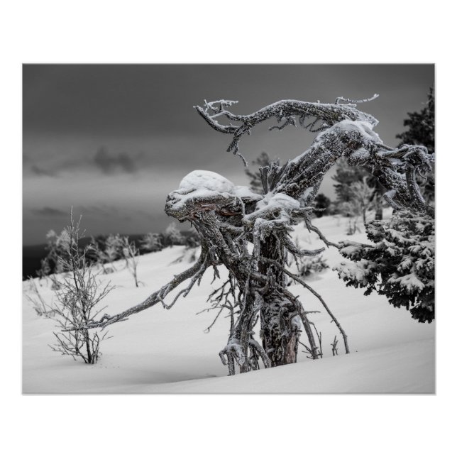 Poster Alien en bois dans le cadre hivernal (Devant)