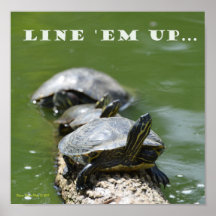 Aligner les tortues