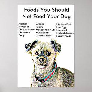 Poster Aliments que vous ne devriez pas nourrir votre chi