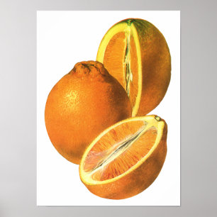 Poster Aliments vintages, Fruit Bio Oranges fraîches et s