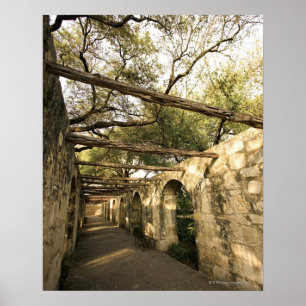 Poster Allée à San Antonio, Texas