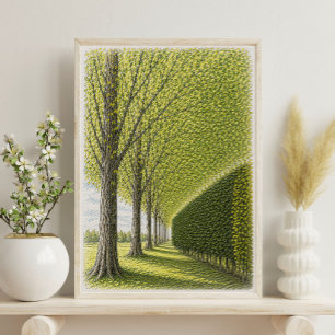 Poster Allée bordée d'arbres Art de paysage botanique