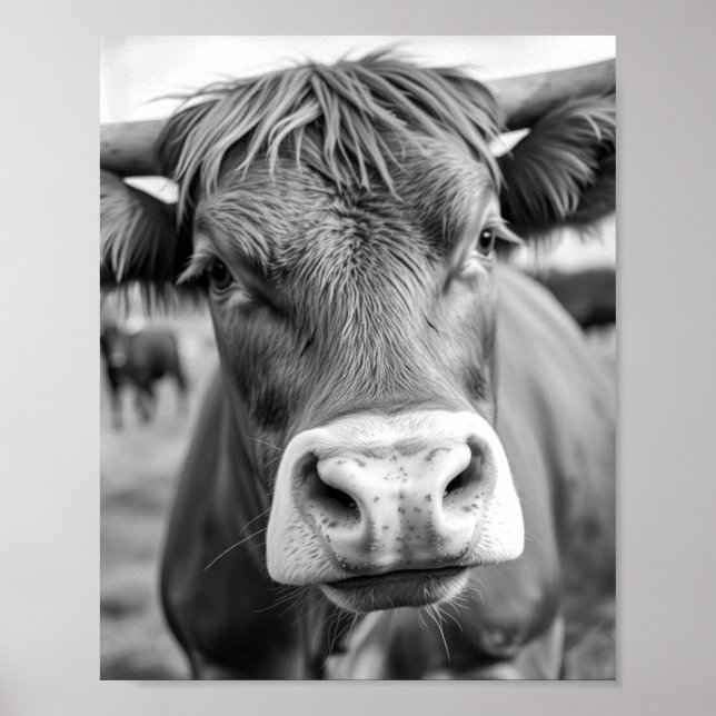 Poster Aller à l'affiche noir et blanc de la vache Ranch (Devant)