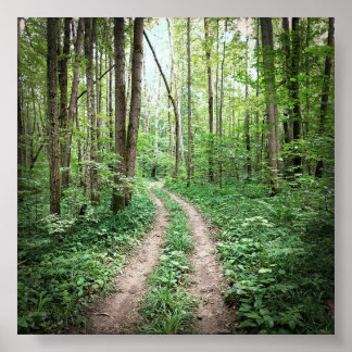 Poster Aller dans la forêt